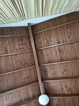 Show webcam de SilvaBranko