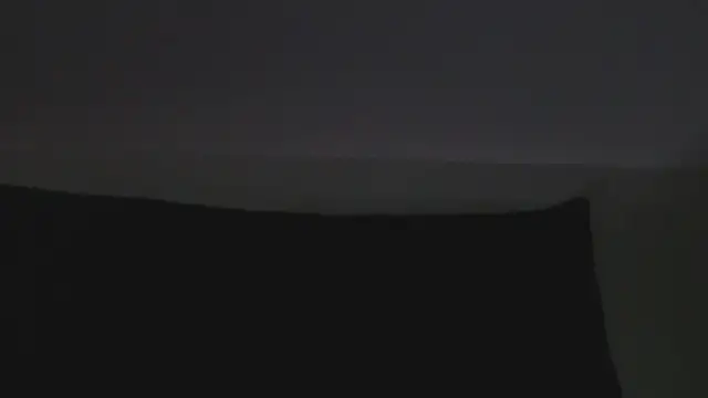 Show webcam de florida0217