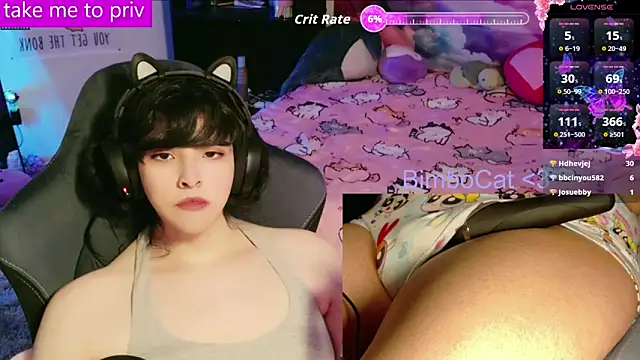 BimboCat: вебкам-шоу