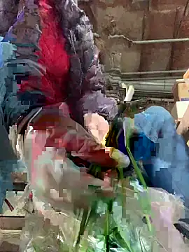 Show webcam de YANINA120