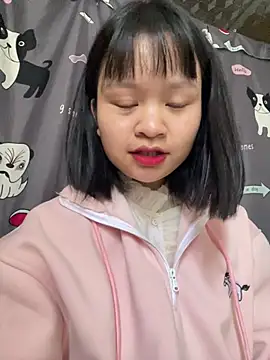 Linyi811 网络视讯表演