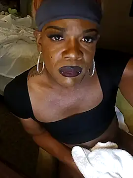 Show de webcam de kobrashekyng