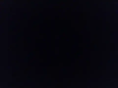 LongDickLance: διαδικτυακό σόου στην κάμερα