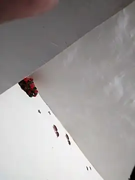 kaamuk_madhu Chat XXX live