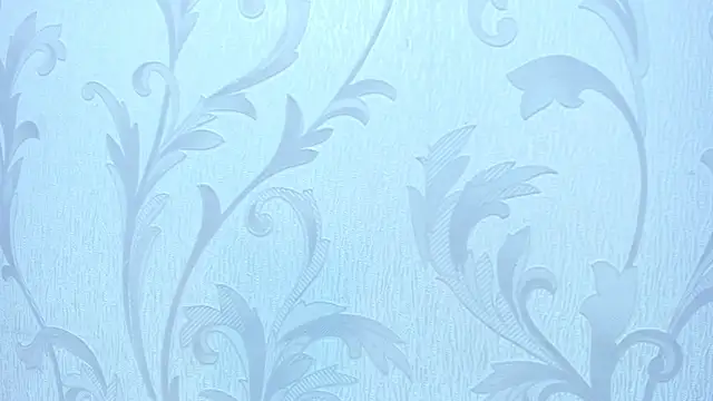 Pokazy przed kamerką – Tadeo_vega_