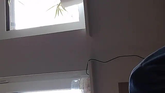 Chat XXX Live WyattEarp1964