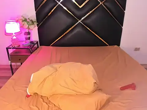 BiniDayan17 Adlı Modelin Web Kamerası Şovu