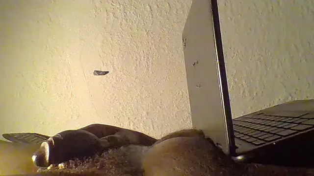 JezOne555: διαδικτυακό σόου στην κάμερα