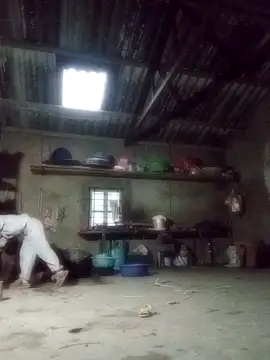 Hoa-tuylip 在線直播表演