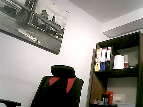 Czat XXX na żywo – mastercharisma35