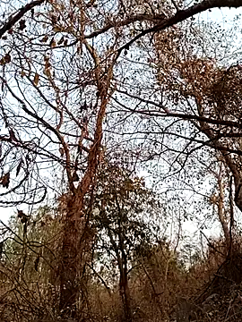 sahilcute1 Adlı Modelin Canlı XXX Sohbeti