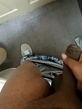 Show webcam de iceswallow12