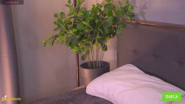 Chatroom XXX en direct de Bellacle