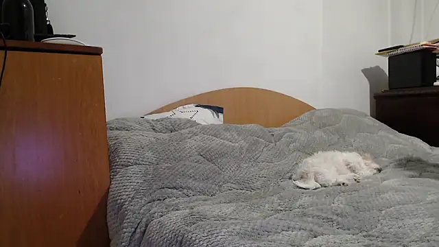 Živý XXX chat MissyDior8