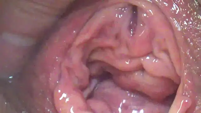 Show webcam de RitaMinx