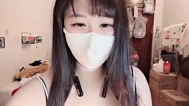 LT-333 网络视讯表演