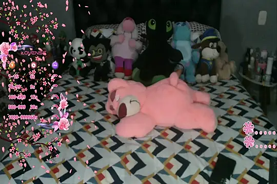 Show modela MIIN_JII_1 na web-kameri