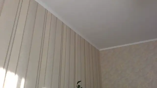 Chat XXX en directo de GiaaCaranggi