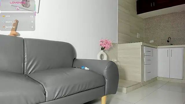 Adam_Grey_ Show Webcam