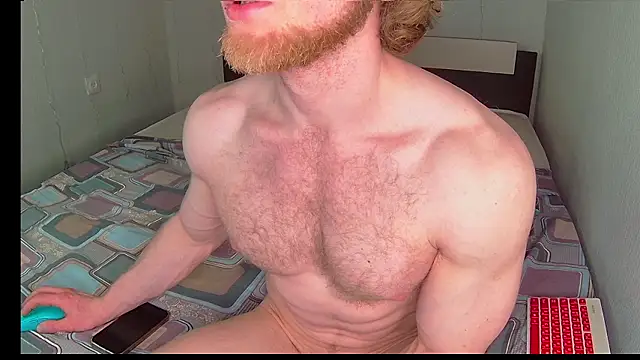 Show webcam de Snow-Bars77