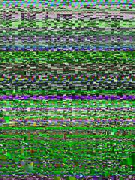 Webkamerová show TheaWren