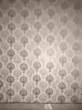 Chat +18 de Punjabi_playboy ao vivo