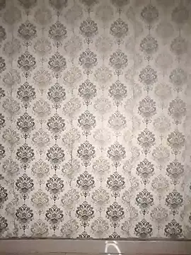 دردشة Punjabi_playboy الجنسية المباشرة