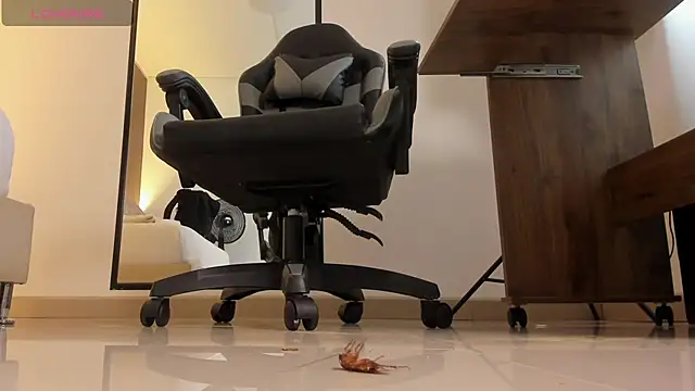 دردشة alma_fenix الجنسية المباشرة