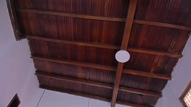 emily-fox: онлайн-секс-чат