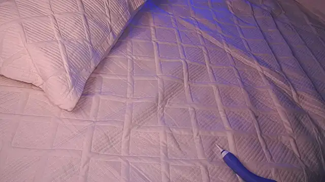 แชท XXX สดของ jenny__lii