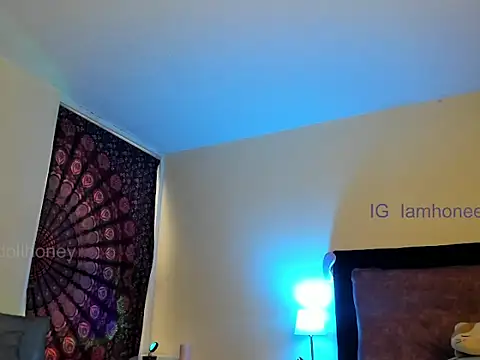 Show webcam de Thedollhoney