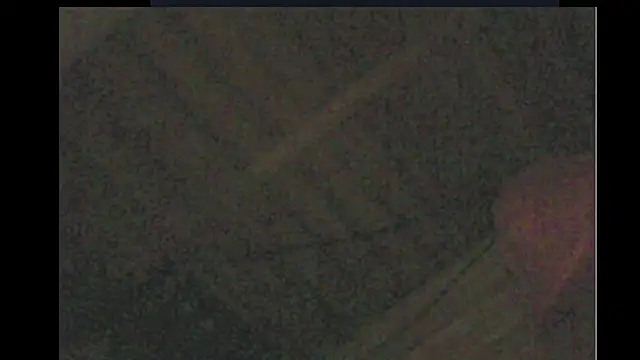 Camodick Show in webcam