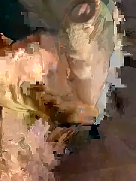 Show de webcam de S__1k