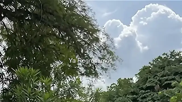 عرض كام LauLph