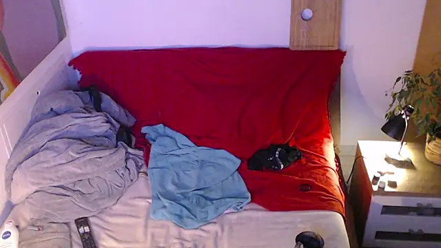 EdelHolz91 Webcam-Show