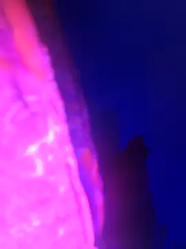 Villageanuty 网络视讯表演