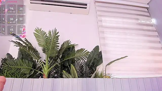 Онлайн чат XXX stephanymonroe