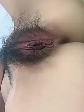 fadssaのウェブカメラショー