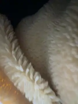 XXX chat uživo modela molihua_7788