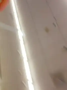 Webkamerová show Edens_Promise