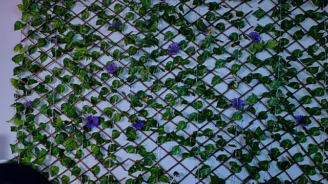 alice_rous21 Chat XXX live