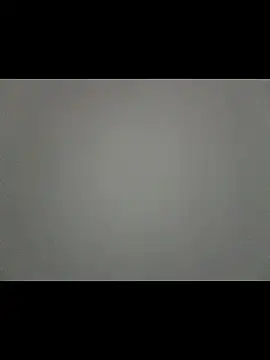 elzabeeer2230 라이브 XXX 채팅