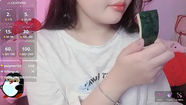 BeChinh_Leeのウェブカメラショー