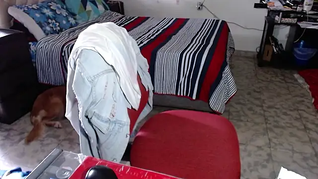 Chat XXX ao vivo de Barbiegomez