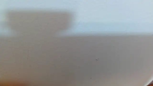 scarlet160920 Live XXX Chat