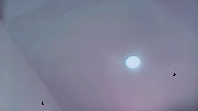 Chatroom XXX en direct de KattyLatina