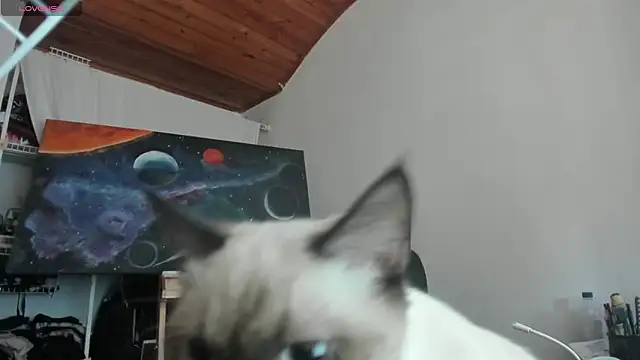 Živý XXX chat mariecam420