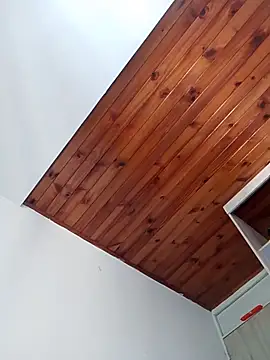 Eross_Santy 现场XXX聊天