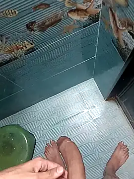 FloweredShallow 网络视讯表演