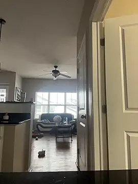 AllesandraLove Live XXX Chat